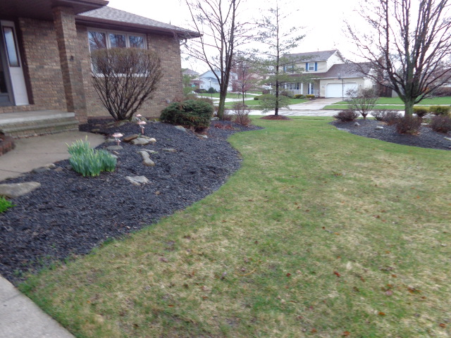4317 Pine Forest Dr, Parma, OH 44134 photo 2