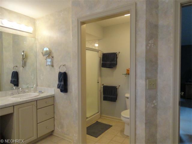 7458 Forthampton Ct, Hudson, OH 44236 photo 12