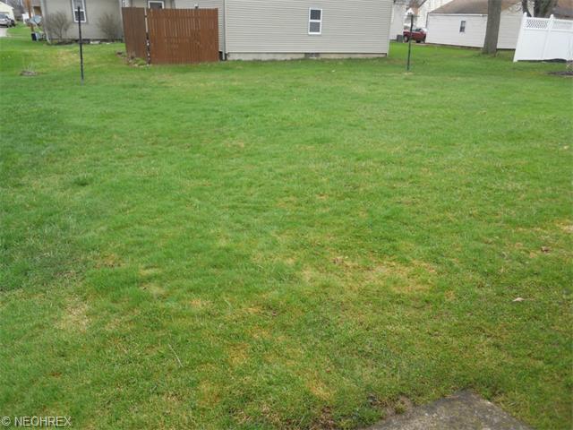 229 Harvey St, Struthers, OH 44471 photo 19