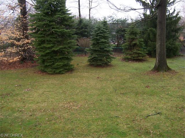 840 W Milton St, Alliance, OH 44601 photo 3