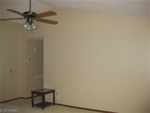 285 Xavier St, Elyria, OH 44035 photo 12