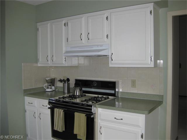 285 Xavier St, Elyria, OH 44035 photo 6