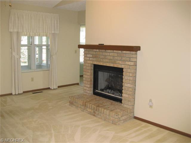 285 Xavier St, Elyria, OH 44035 photo 10