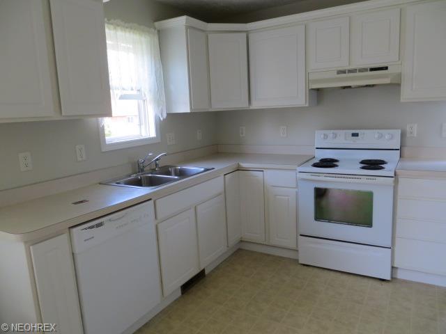 413 Palomino Ct, Lagrange, OH 44050 photo 8
