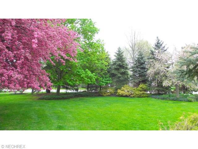 786 Abbe Rd N, Elyria, OH 44035 photo 3
