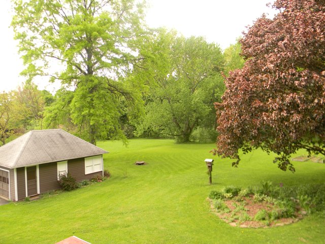 130 Beech St, Alliance, OH 44601 photo 15
