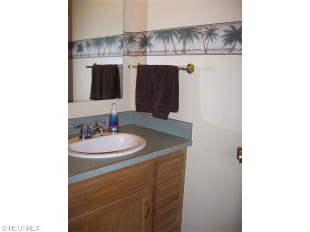 153 Parklane Dr, Lagrange, OH 44050 photo 8