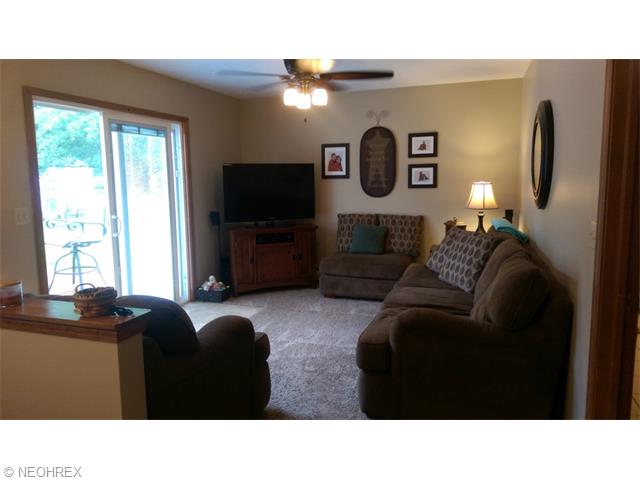 153 Parklane Dr, Lagrange, OH 44050 photo 13