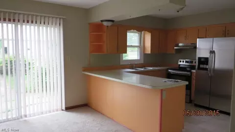 41369 Biggs Rd, Lagrange, OH 44050 photo 5