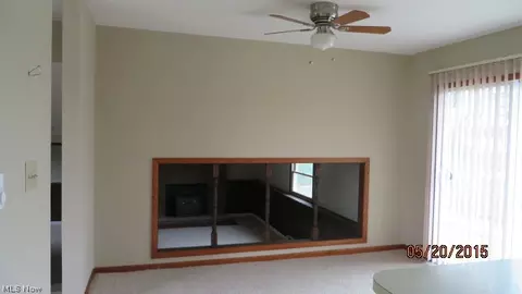 41369 Biggs Rd, Lagrange, OH 44050 photo 7