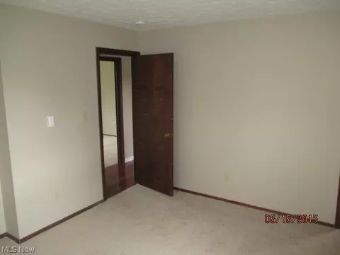 41369 Biggs Rd, Lagrange, OH 44050 photo 13