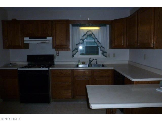 29 Sells Ave, Struthers, OH 44471 photo 5
