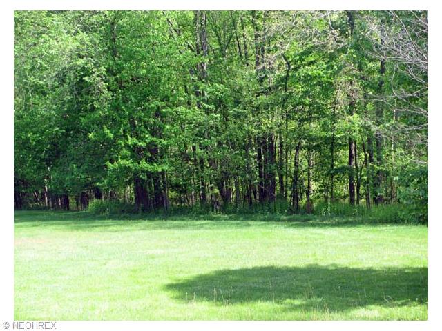 12456 Price St NE, Alliance, OH 44601 photo 3