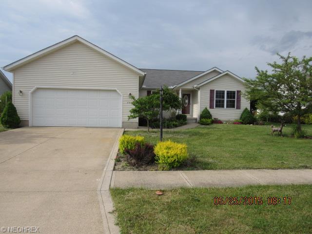 750 Timber Wolf Ln, Lagrange, OH 44050 photo 1