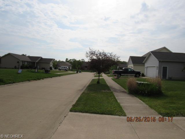 750 Timber Wolf Ln, Lagrange, OH 44050 photo 4