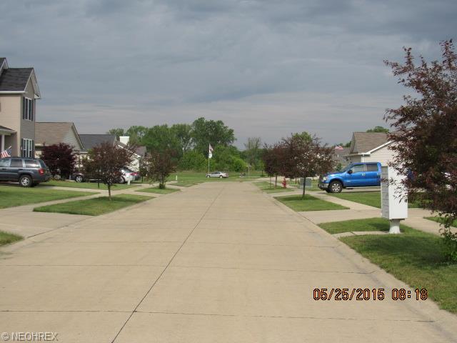 750 Timber Wolf Ln, Lagrange, OH 44050 photo 3