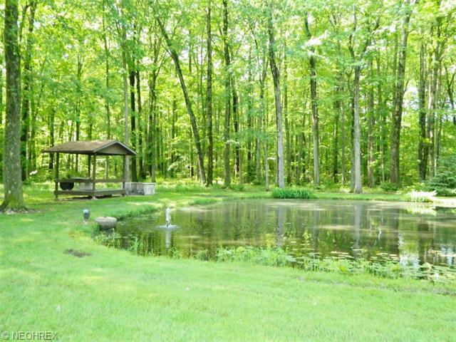 9754 Wolfe Rd, Windham, OH 44288 photo 20