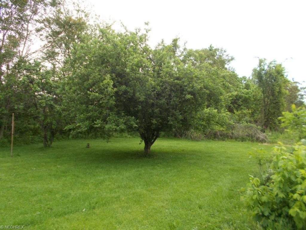 902 W 34th St, Ashtabula, OH 44004 photo 22