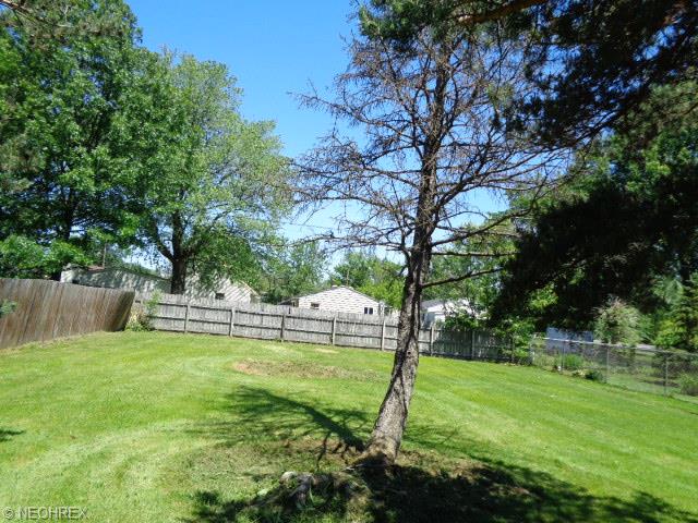 127 High St, Elyria, OH 44035 photo 6