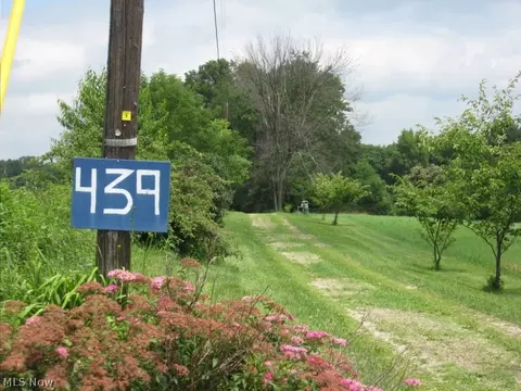 439 Hatch Rd, Sharon, OH 44281 photo 3