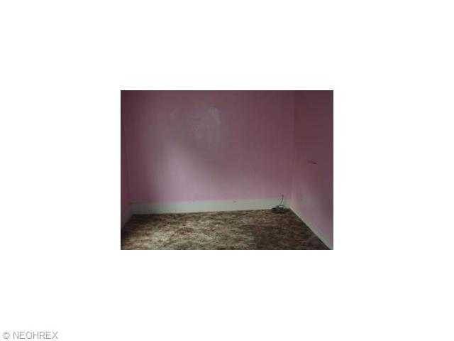 54 Poland Ave, Struthers, OH 44471 photo 7