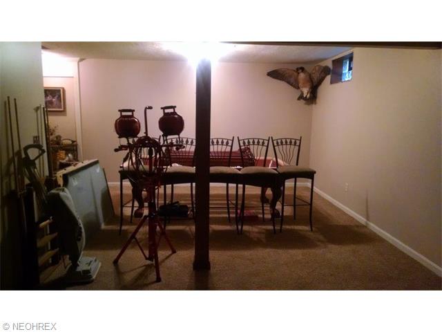 551 Hendrix Blvd, Lagrange, OH 44050 photo 21