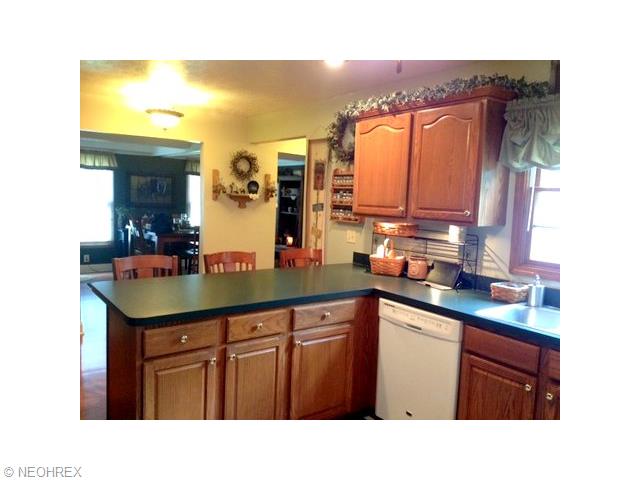 551 Hendrix Blvd, Lagrange, OH 44050 photo 12