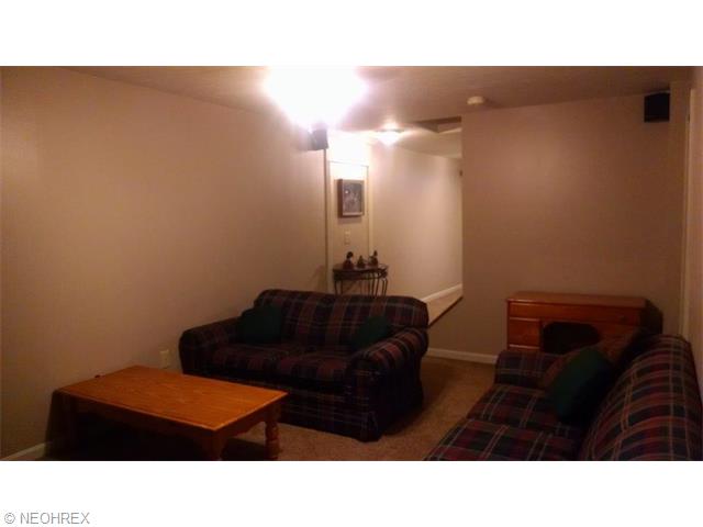 551 Hendrix Blvd, Lagrange, OH 44050 photo 20