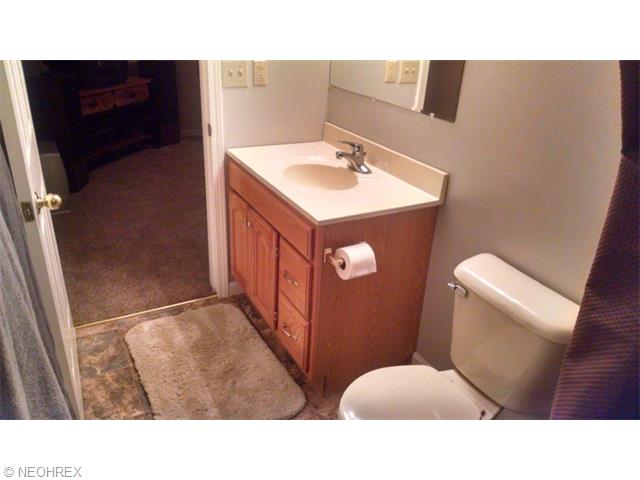 551 Hendrix Blvd, Lagrange, OH 44050 photo 18