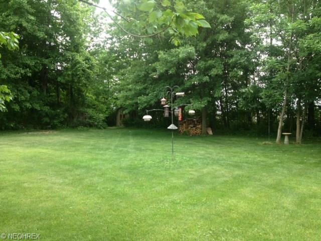 551 Hendrix Blvd, Lagrange, OH 44050 photo 24