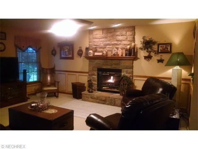 551 Hendrix Blvd, Lagrange, OH 44050 photo 5