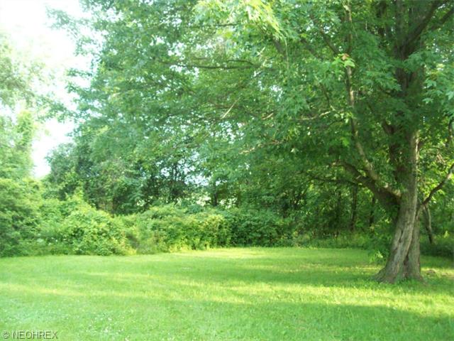 1695 Chenango Rd, Wakeman, OH 44889 photo 4