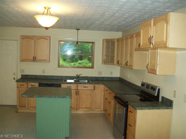 1695 Chenango Rd, Wakeman, OH 44889 photo 5