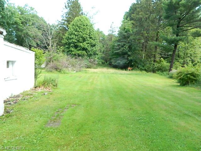 12802 Huffman Rd, Parma, OH 44130 photo 3