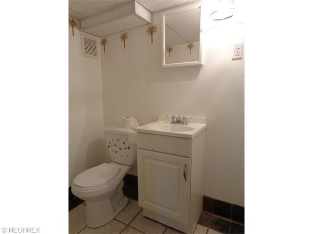 317 Longford Ave, Elyria, OH 44035 photo 17