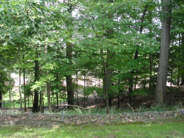6841 Drexel Dr, Seven Hills, OH 44131 photo 24
