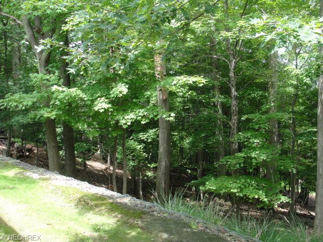 6841 Drexel Dr, Seven Hills, OH 44131 photo 25