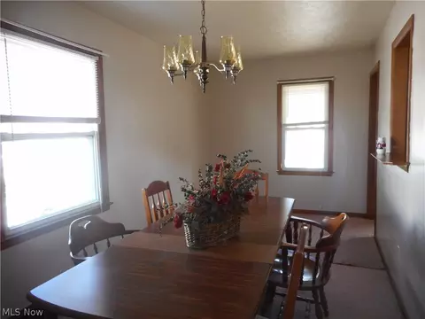 514 W Wilson St, Struthers, OH 44471 photo 16