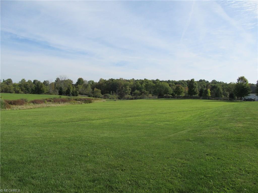 9585 Bascom Rd, Chardon, OH 44024 photo 25
