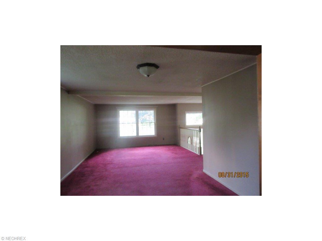 9540 Geneva Dr, Windham, OH 44288 photo 4