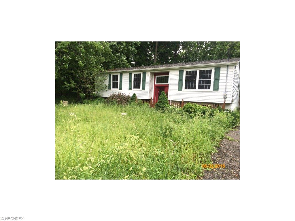 9540 Geneva Dr, Windham, OH 44288 photo 14