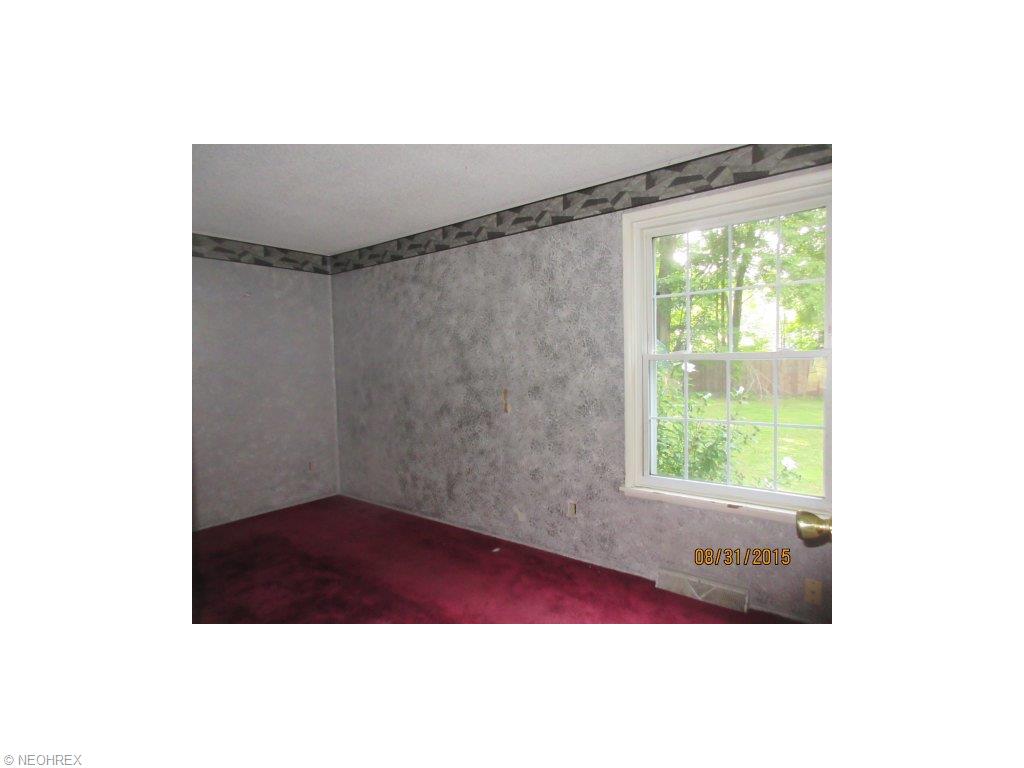9540 Geneva Dr, Windham, OH 44288 photo 7