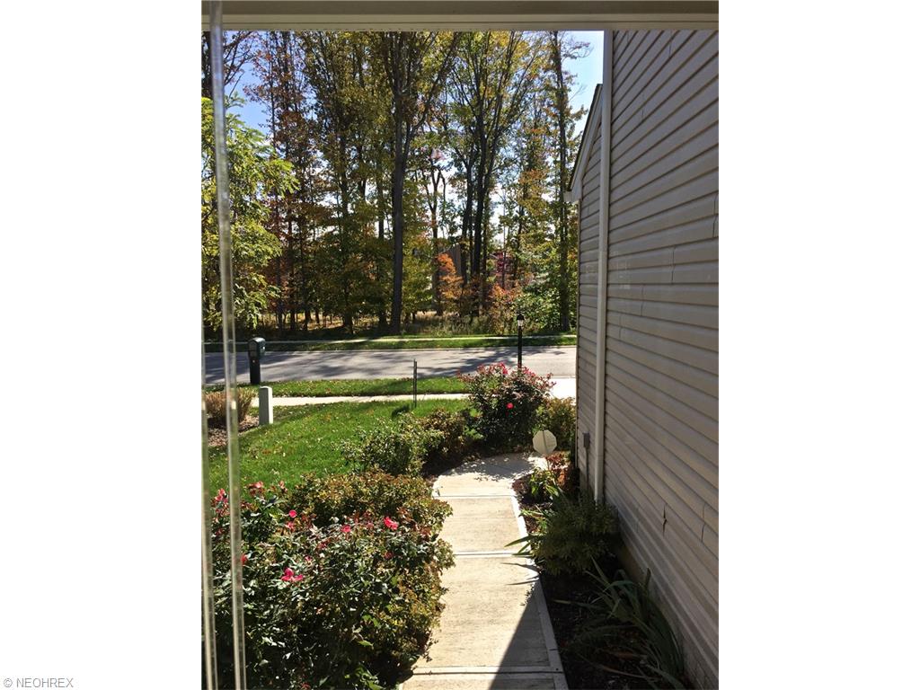 3645 Firethorn Dr, Aurora, OH 44202 photo 22