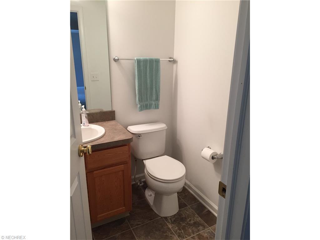 3645 Firethorn Dr, Aurora, OH 44202 photo 10