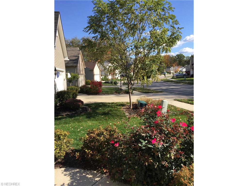 3645 Firethorn Dr, Aurora, OH 44202 photo 23
