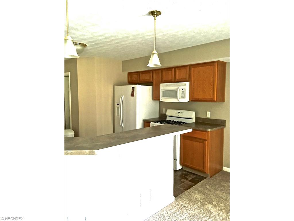 3645 Firethorn Dr, Aurora, OH 44202 photo 3