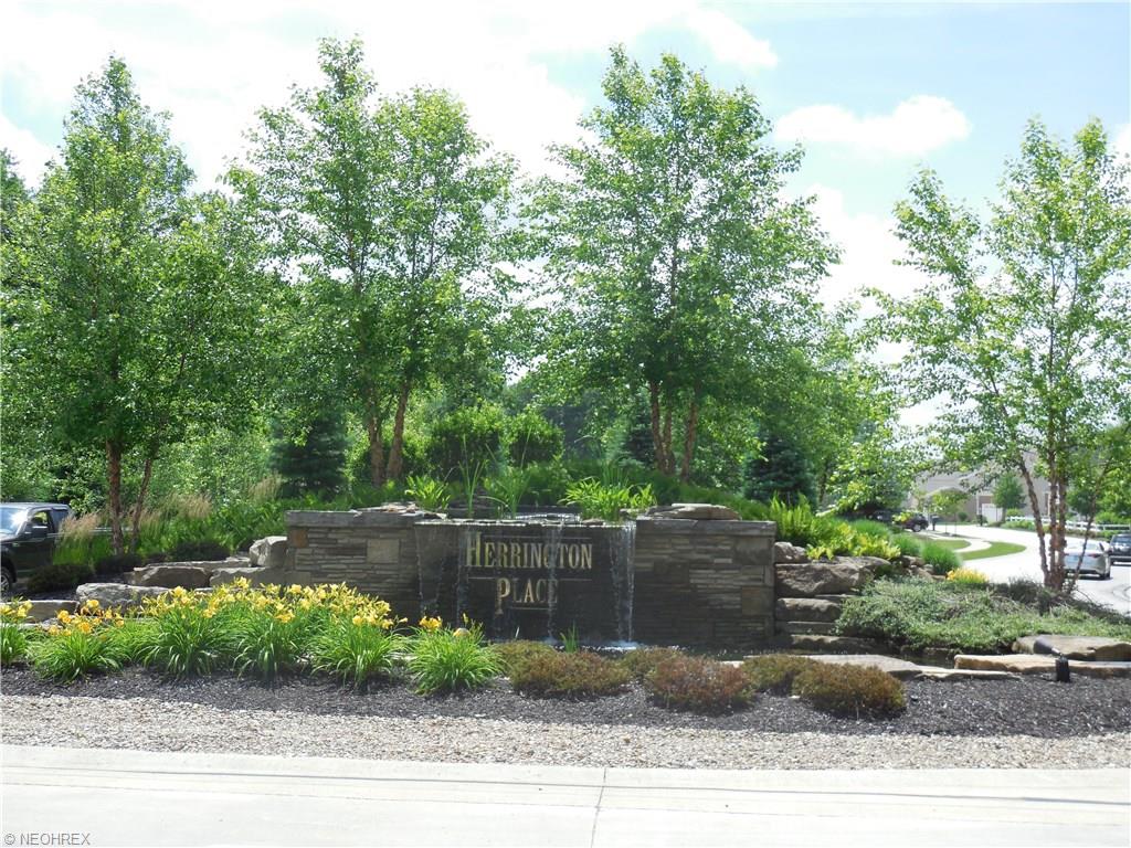 3645 Firethorn Dr, Aurora, OH 44202 photo 25