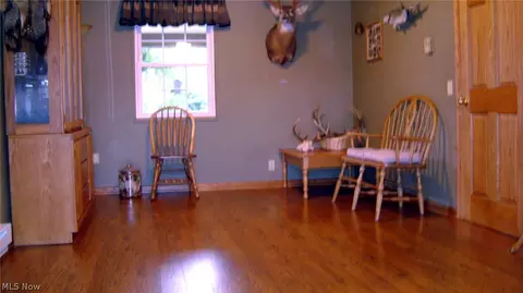 9905 Bright Dr, Windham, OH 44288 photo 7