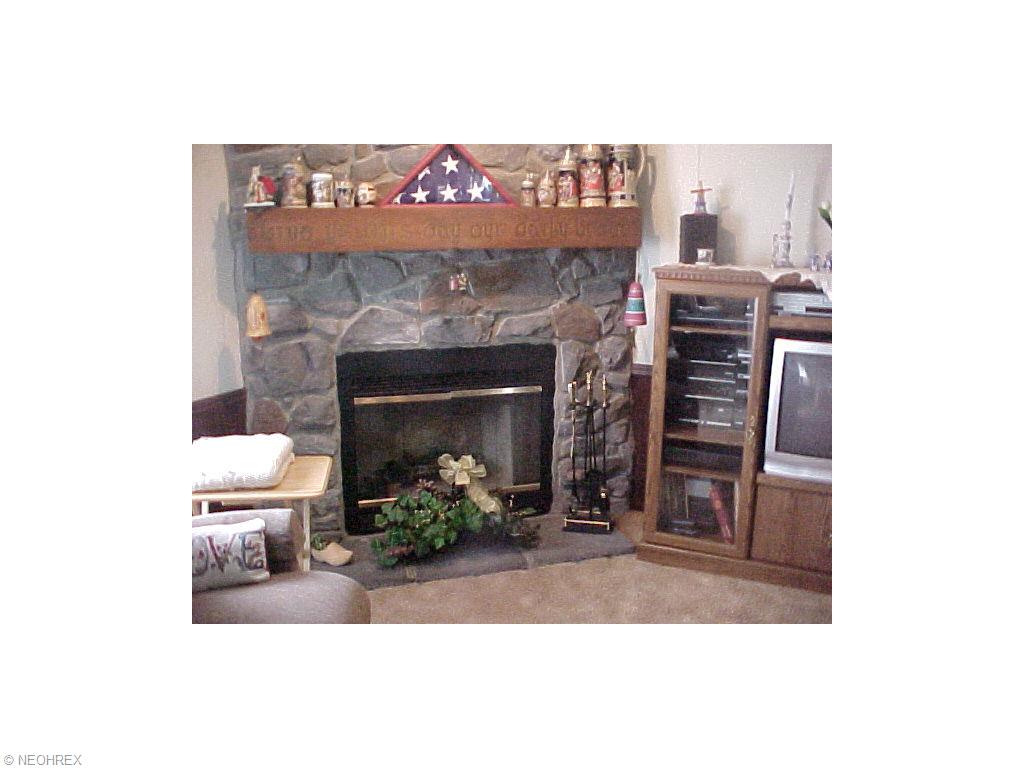 9060 W Ridge Rd, Elyria, OH 44035 photo 6