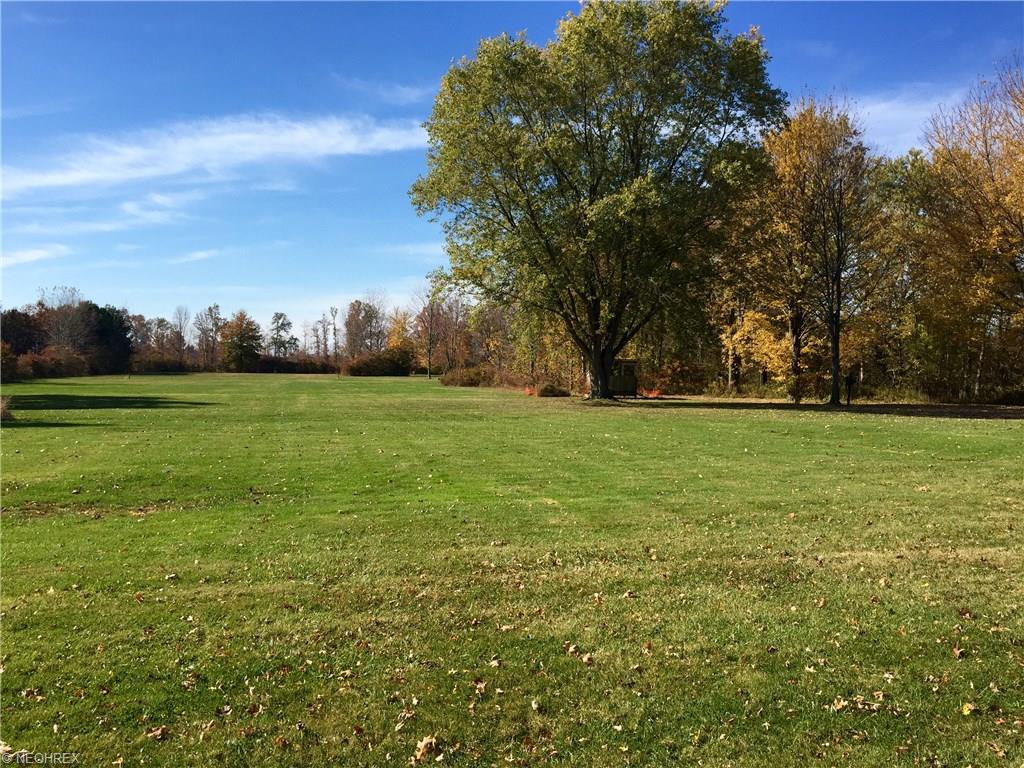 9138 Bechtel Rd, Elyria, OH 44035 photo 5